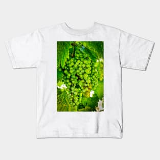 Grapes On Vines Kids T-Shirt